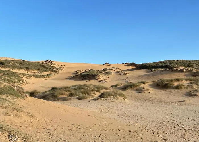 La Terrazza 度假居 托雷戴科尔萨里