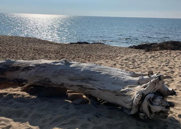 La Terrazza 度假居 *