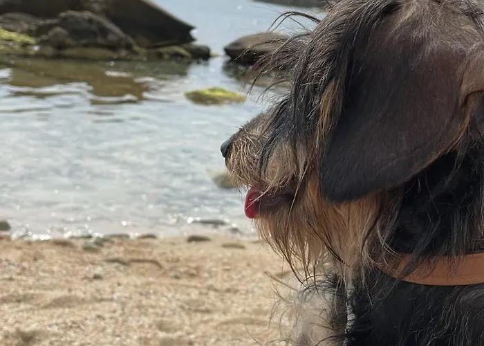 度假居 La Terrazza *